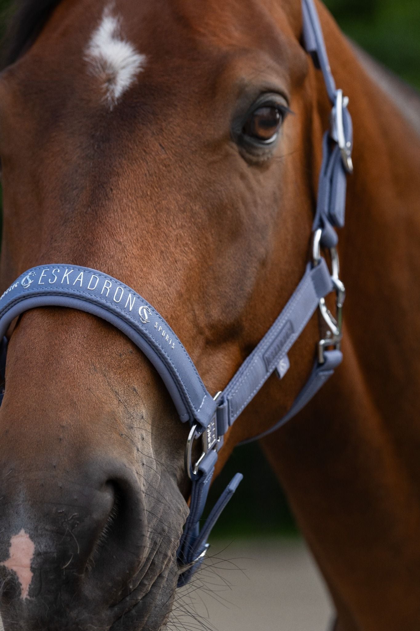 Eskadron SPARKLE DOUBLE PIN Halfter