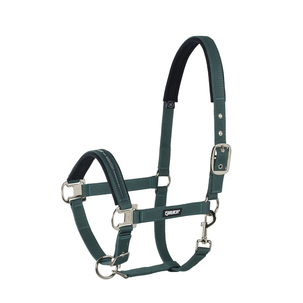 PIN BUCKLE Halfter