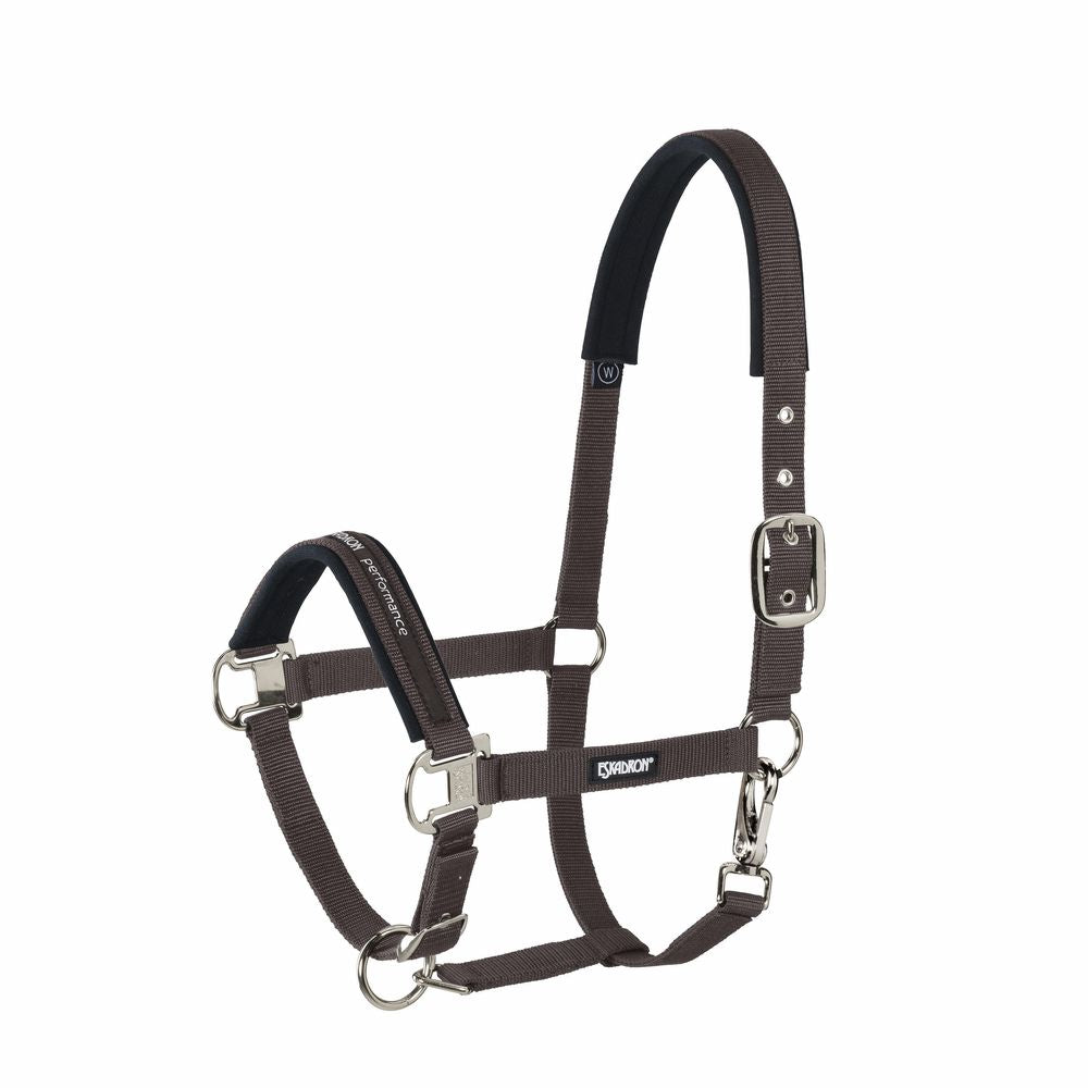PIN BUCKLE Halfter