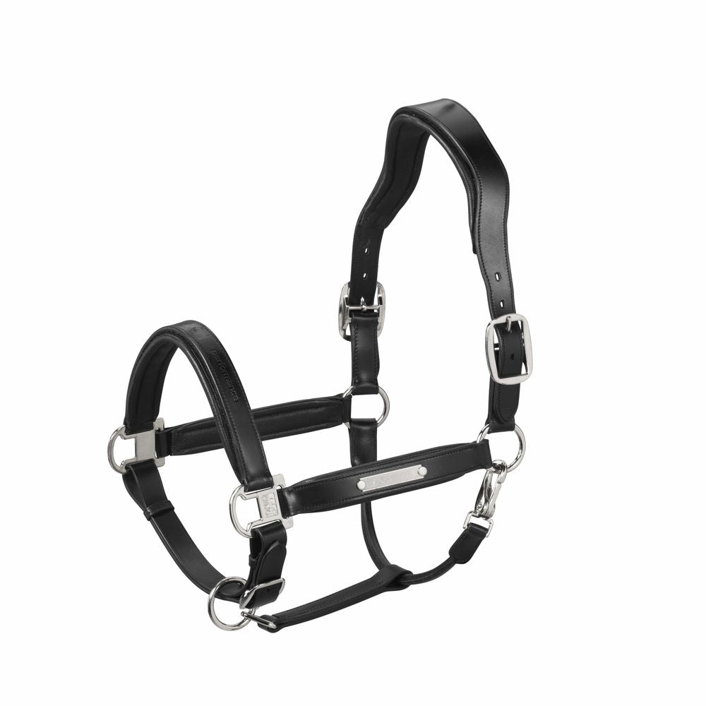LEATHER STALLION Halfter