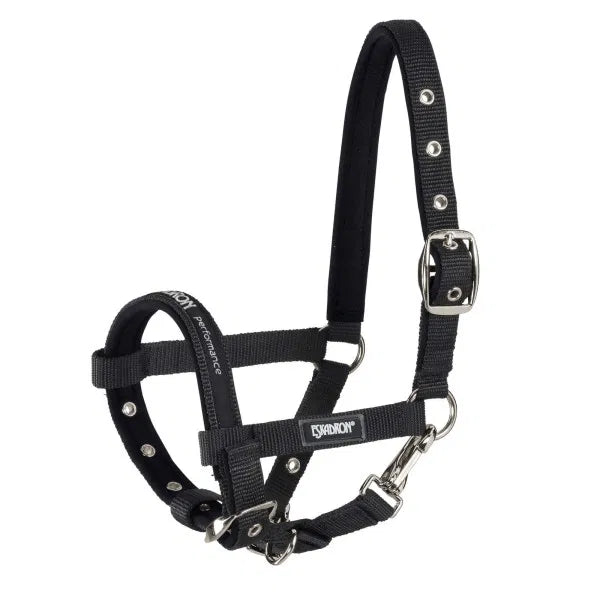 FOAL Halfter
