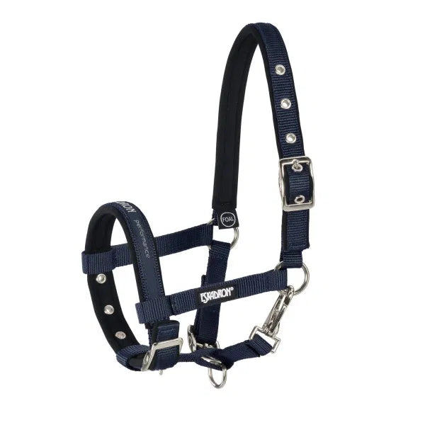 FOAL Halfter