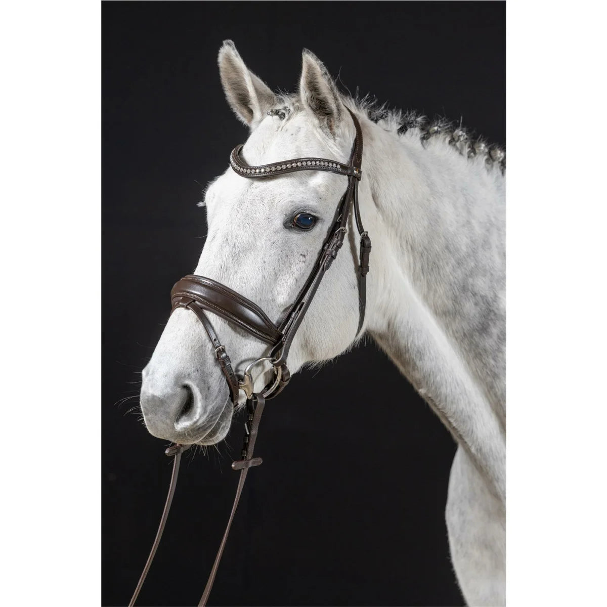 Hans Melzer Trense Wiesbaden Comfort S.