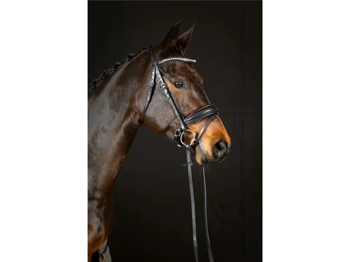 Hans Melzer Trense Wiesbaden Comfort S.
