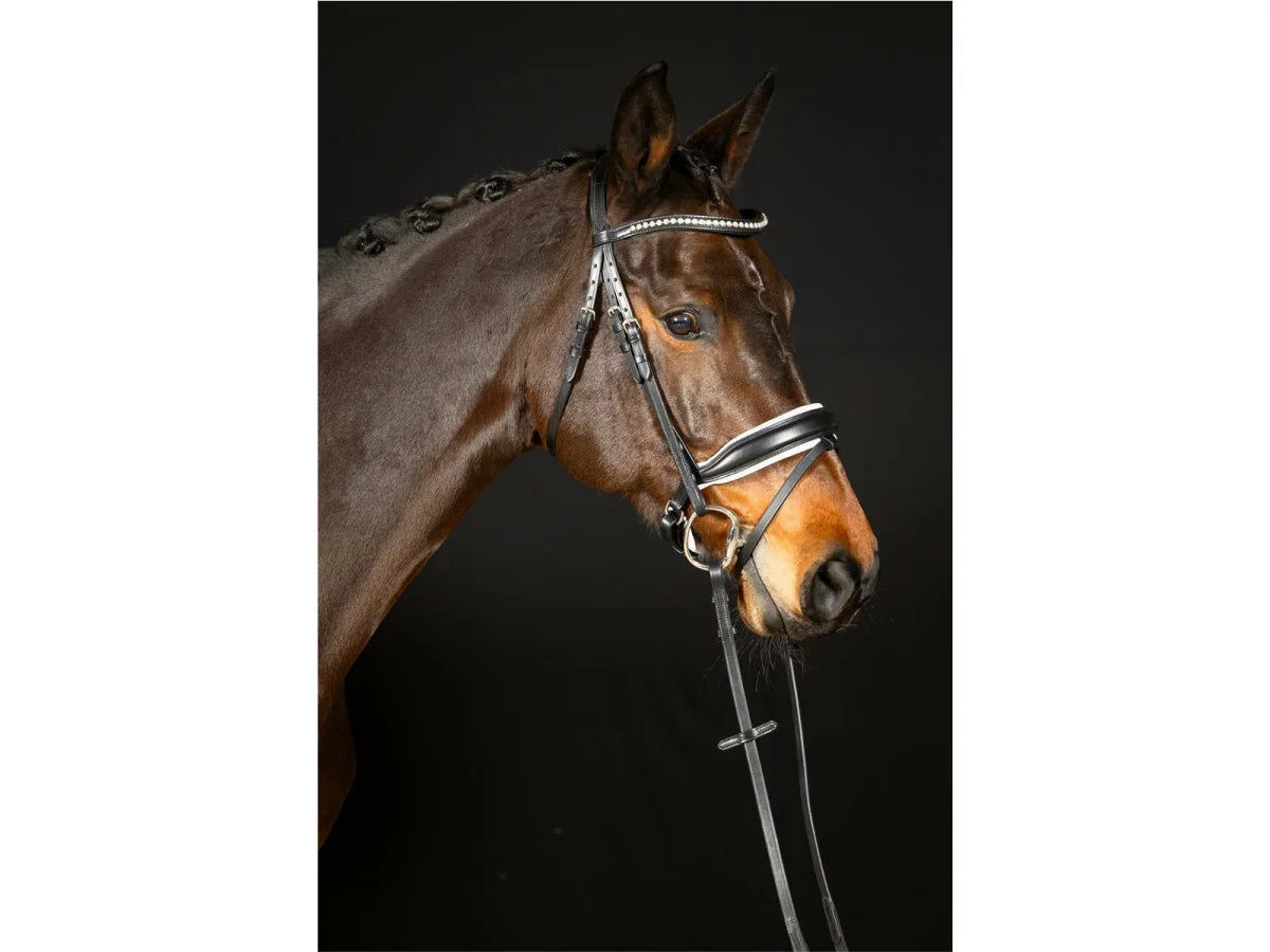 Hans Melzer Trense Wiesbaden Comfort S.