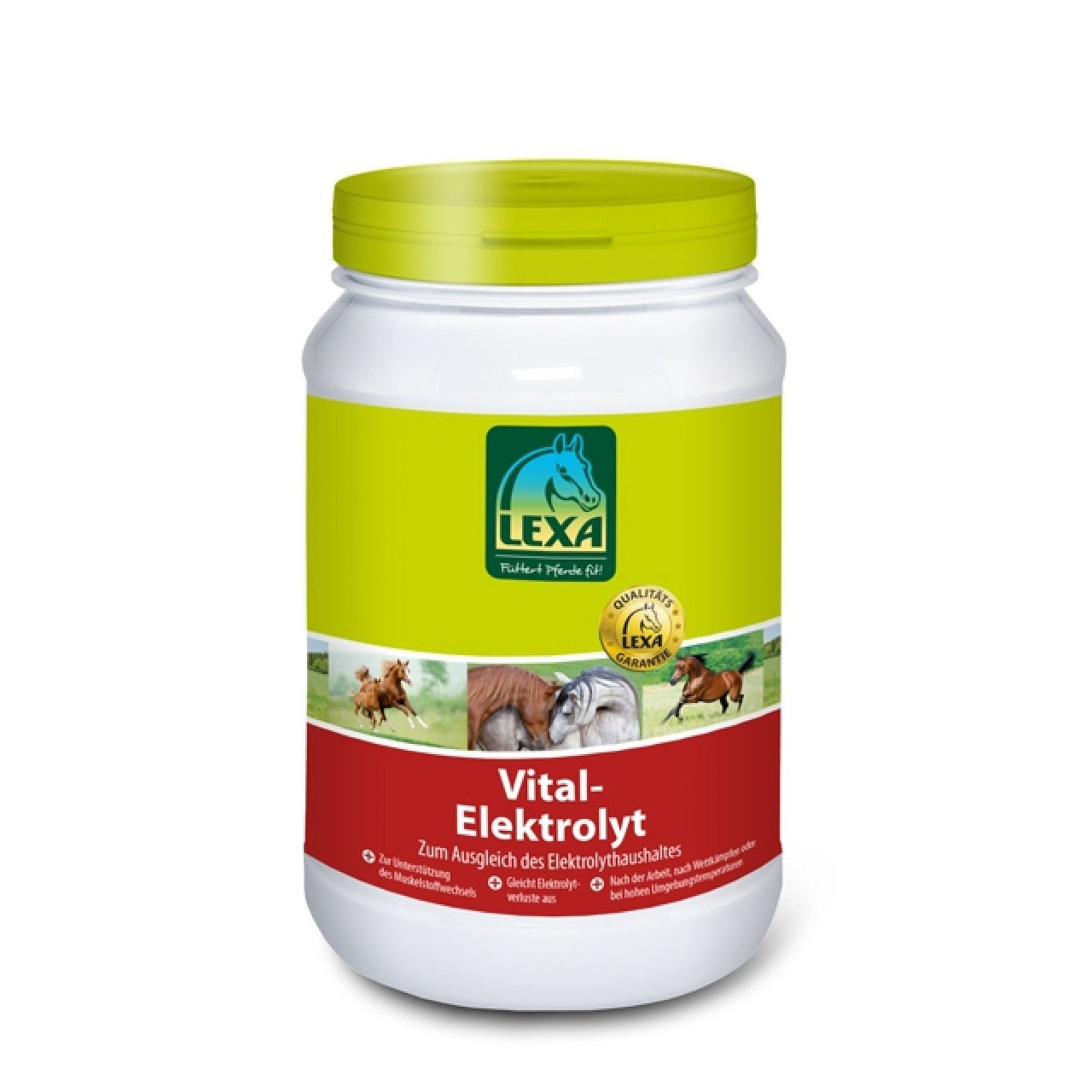 Lexa Elektrolyte